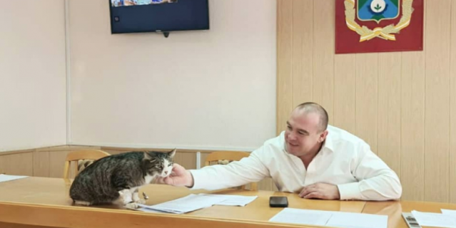 Кот Кипиш и глава Невинномысска Михаил Миненков.