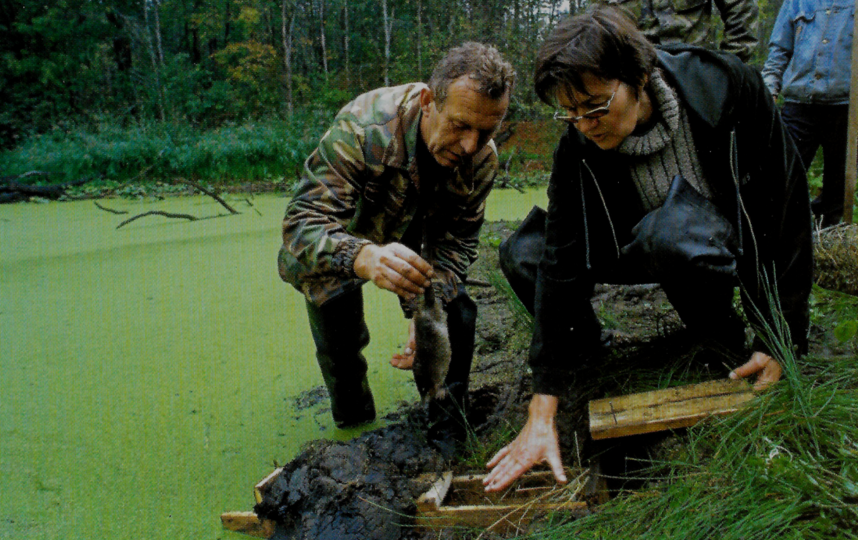 Выхухоль выпускают в искусственную нору в восстановленном месте обитания. Фото Фото предоставлены героем публикации.
