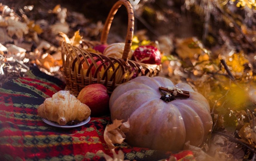 Осенний пикник с любимым человеком обязательно поднимет настроение. Фото pixabay.com