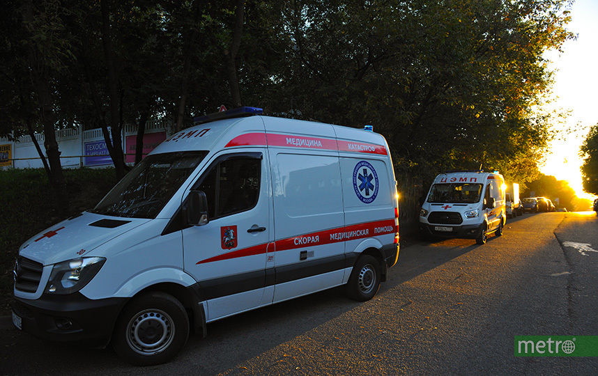 Архивное фото. Фото Василий Кузьмичёнок