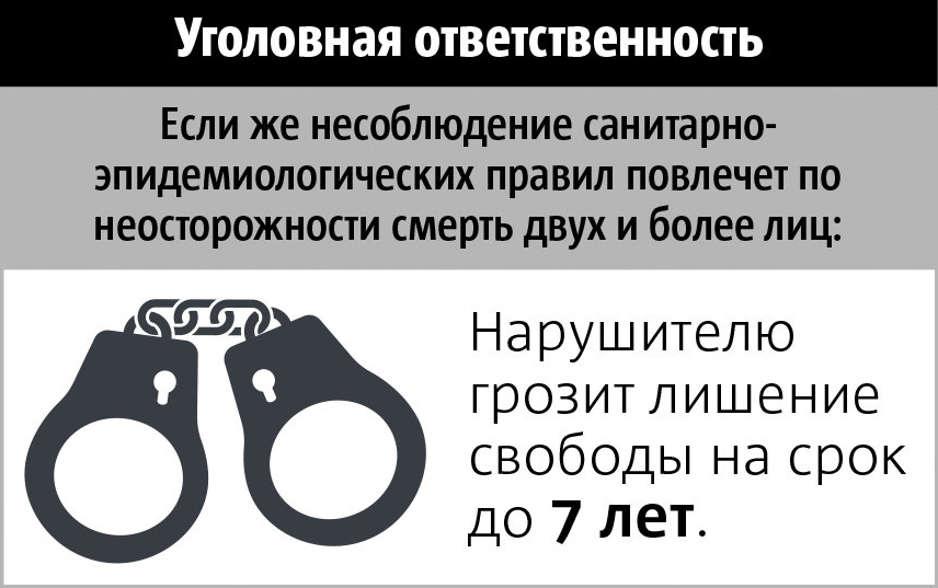 1 апреля 2020 года Владимир Путин подписал закон об уголовной ответственности за несоблюдение карантина. Фото Инфографика: Павел Киреев, "Metro"
