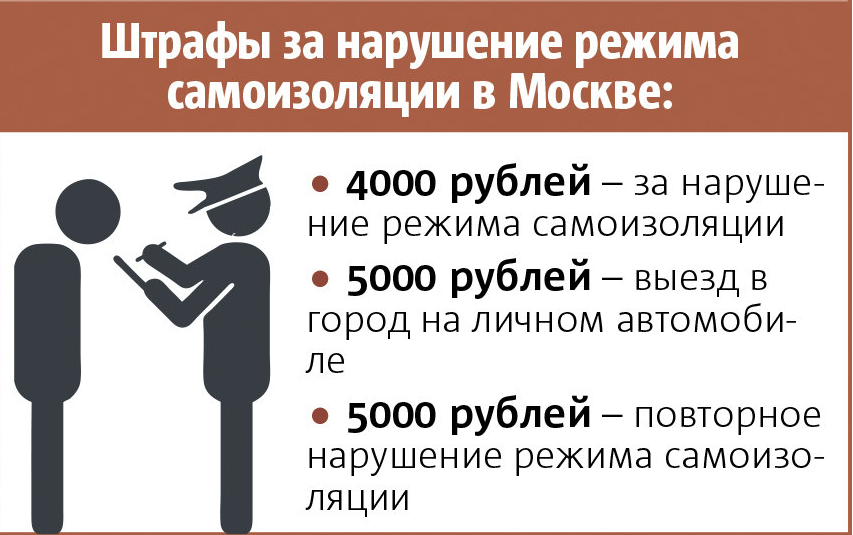 За нарушение режима самоизоляции и карантина предусмотрена ответственность. Фото Инфографика: Павел Киреев, "Metro"