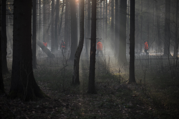 Кадры из фильма "Нелюбовь". Фото Анна Матвеева