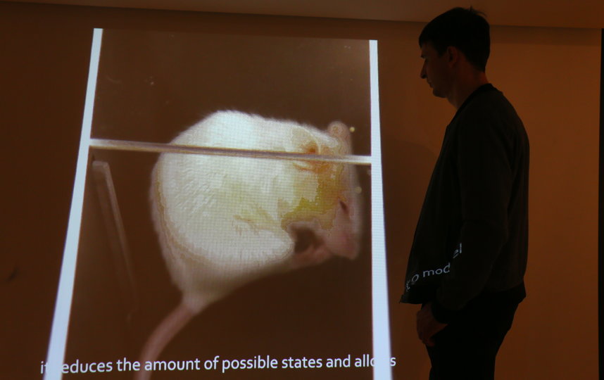 В галерее «Беляево» открылась выставка «В НИИ КУДА», где есть живые экспонаты и даже загадочные «бриллианты». Фото Василий Кузьмичёнок