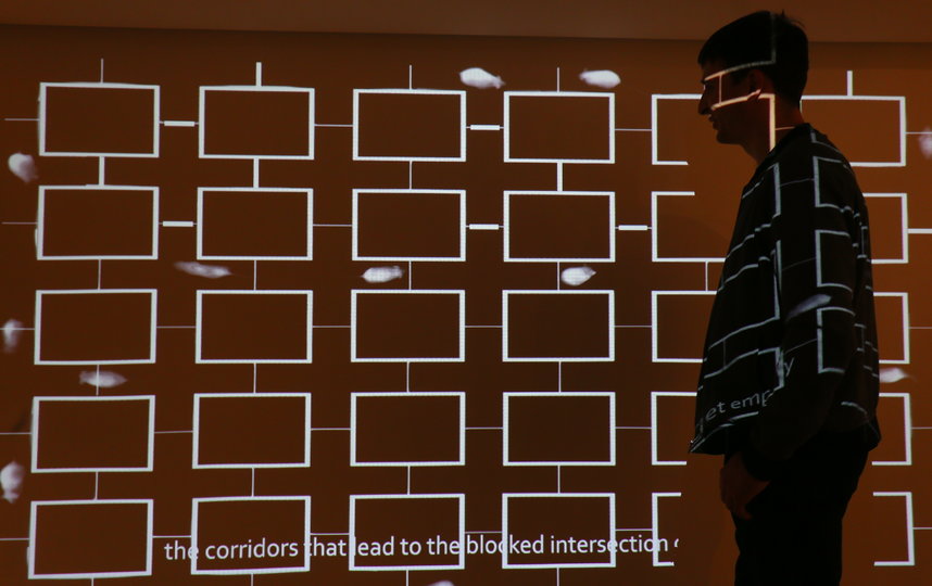 В галерее «Беляево» открылась выставка «В НИИ КУДА», где есть живые экспонаты и даже загадочные «бриллианты». Фото Василий Кузьмичёнок