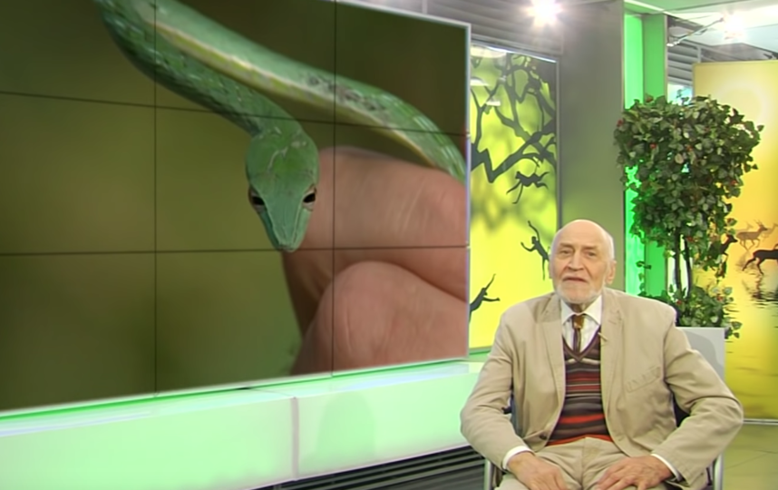 Николай Дроздов. Фото Скриншот youtube.com/watch?v=EaduPF2mt_8