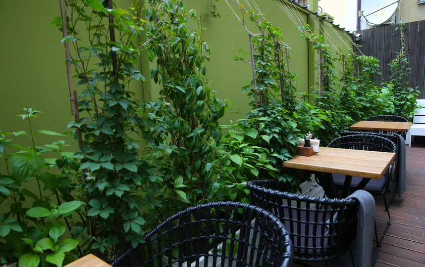 Ресторан Brasserie Lambic. Фото Василий Кузьмичёнок