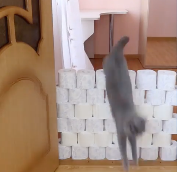 Почти рекорд. Фото instagram@karinasuper2020, "Metro"