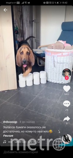 Не паримся. Фото @dbozoqp, "Metro"