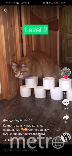 Как могу, так и прохожу. Фото @iam_asiia_, "Metro"