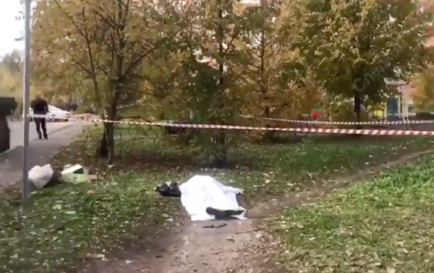Опубликовано видео с места убийства женщины-следователя в Подмосковье