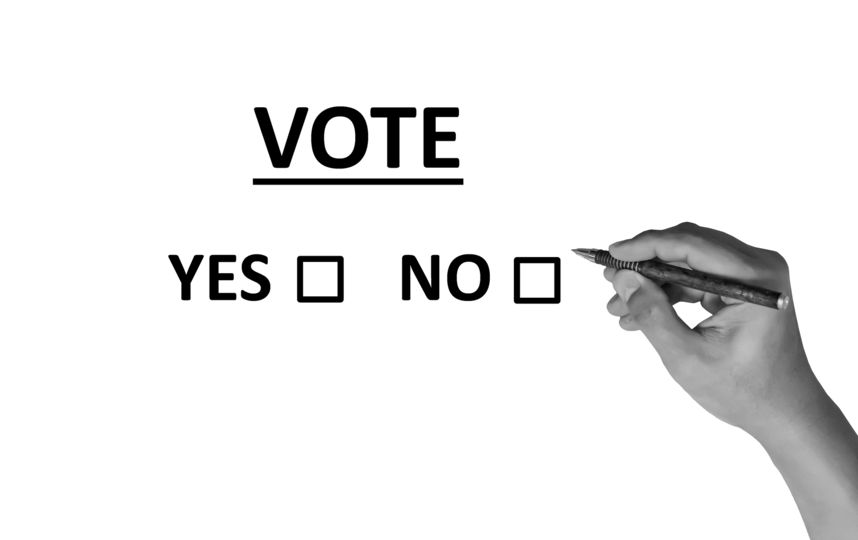 В Москве голосуют по поправкам в Конституцию РФ. Фото pixabay