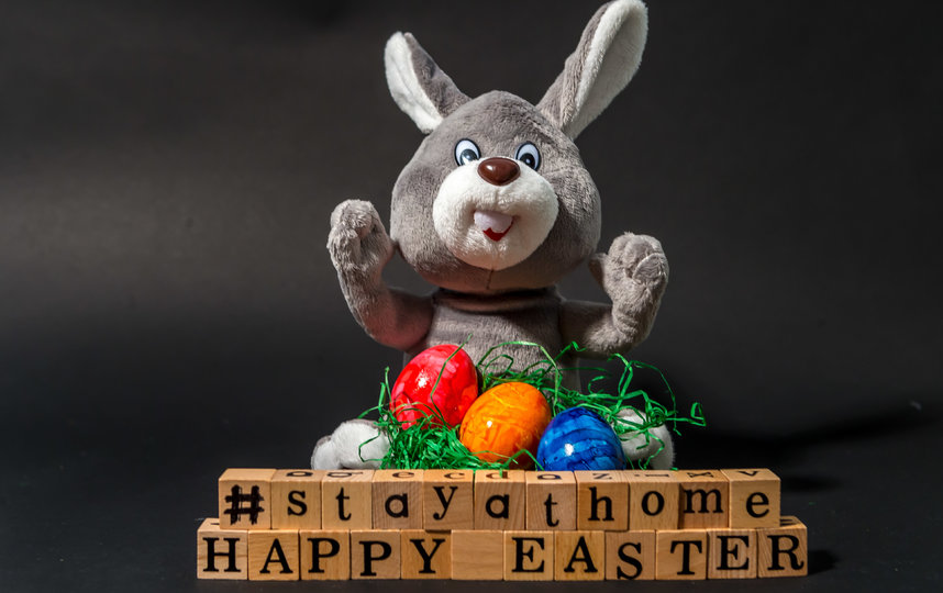 Заяц с хештэгом #ОставайтесьДома. Фото Getty