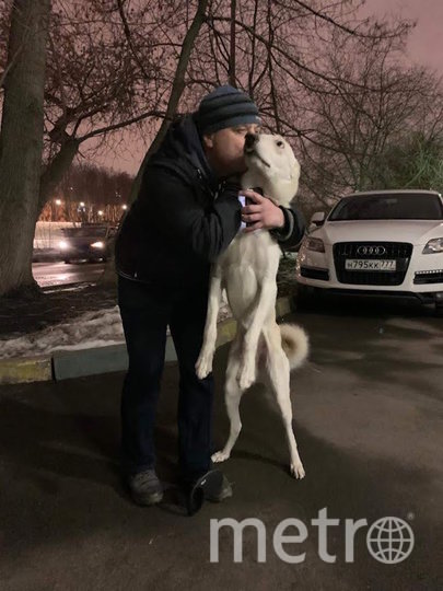 Потерявшийся в Москве щенок вернулся домой