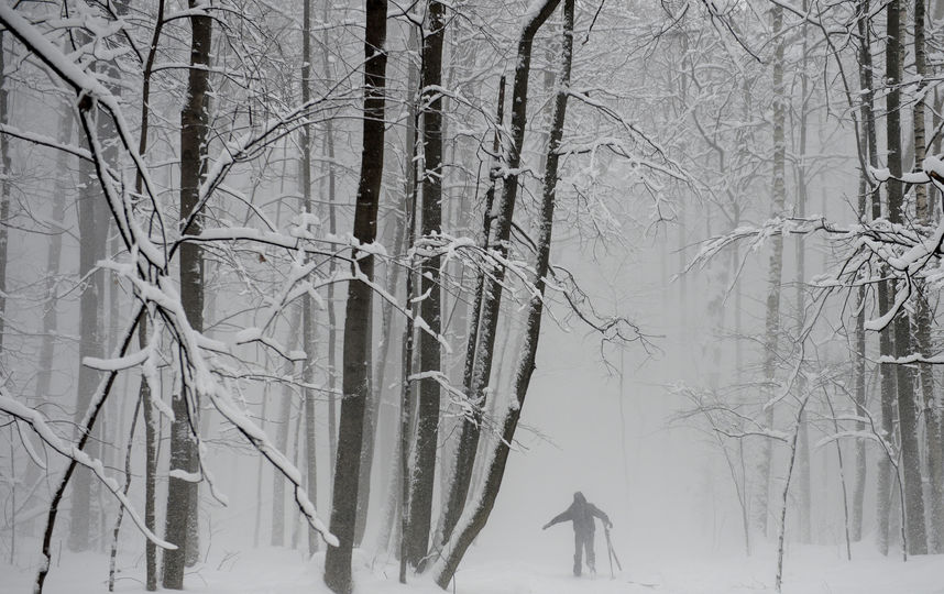 Без снега Москва пока не останется. Фото AFP