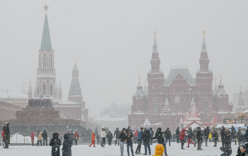 Прогноз погоды в Москве и Подмосковье: февраль продолжит удивлять теплом