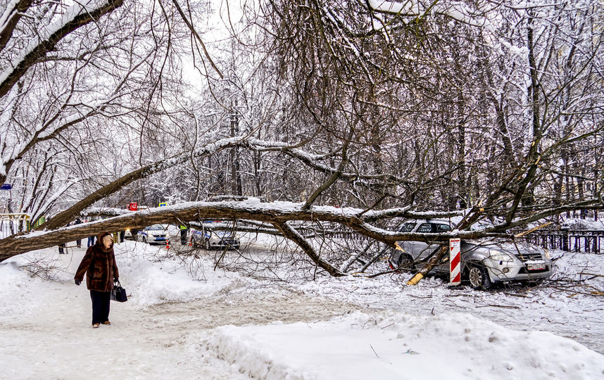 3 и 4 февраля на Москву обрушился мощный снегопад. Фото AFP