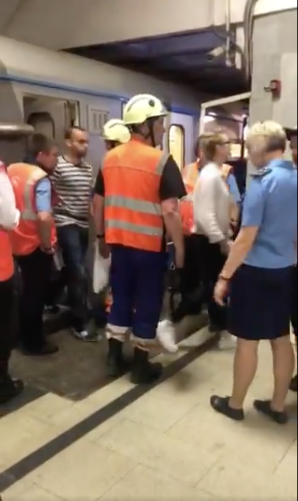 Производителя сломавшегося поезда на серой ветке в Москве оштрафуют на 1,5 млн рублей