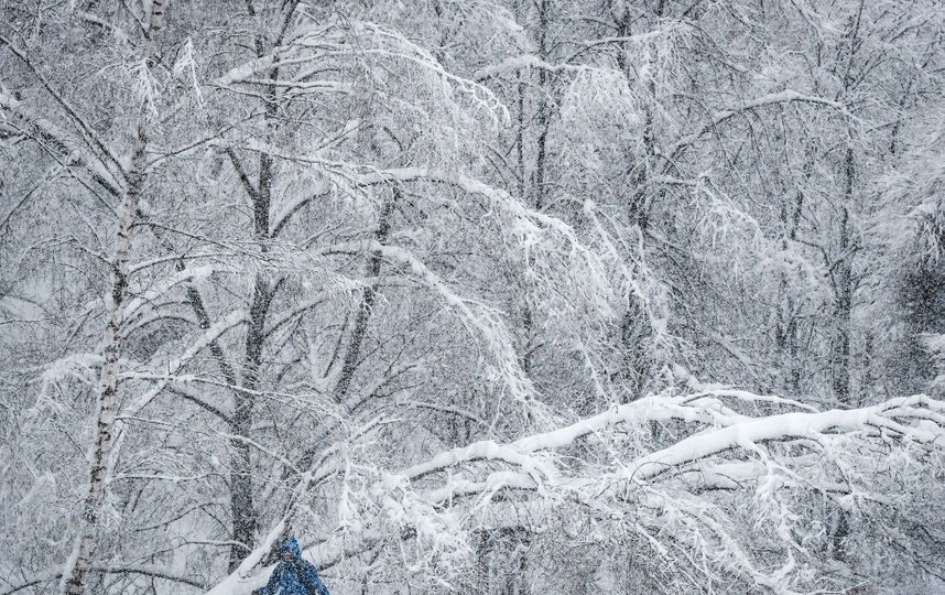 Зимняя Москва. Фото AFP
