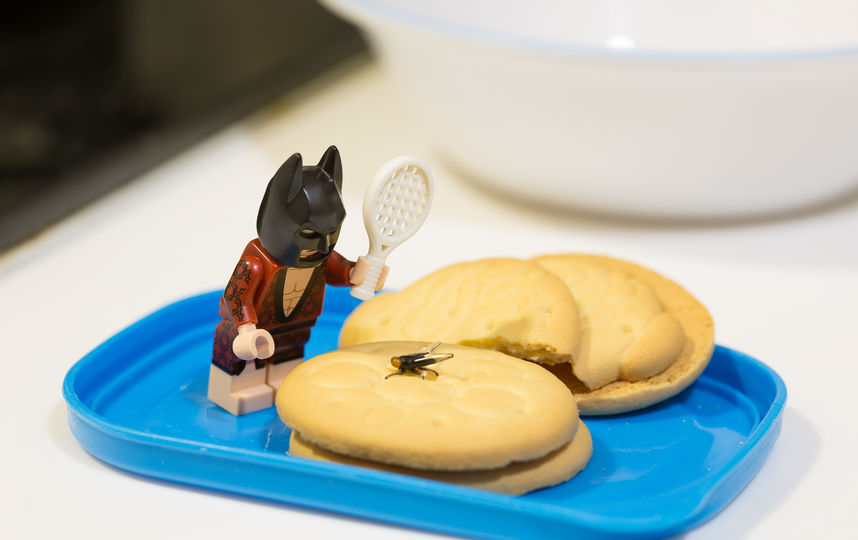 Лего-Бэтмен. Фото Рик Це, фотограф из Гонконга.