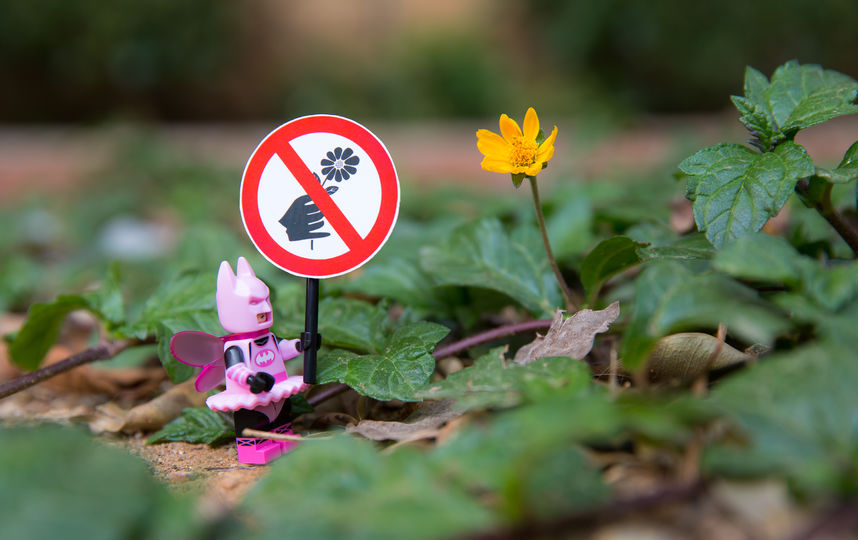 Лего-Бэтмен. Фото Рик Це, фотограф из Гонконга.