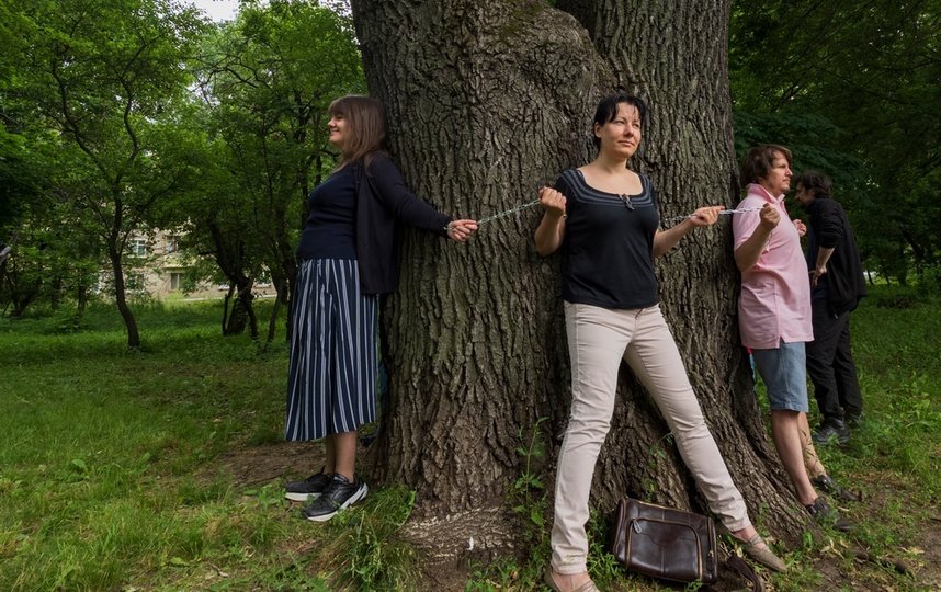 Чтобы обхватить древний дуб на улице Ивана Франко, не хватит и троих человек. Фото Вадим Кантор