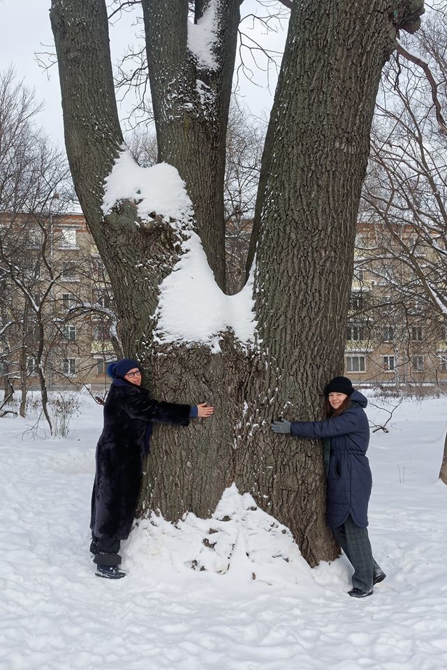 Чтобы обхватить древний дуб на улице Ивана Франко, не хватит и троих человек. Фото Алексей Шульгин