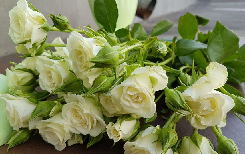 В Москве несут цветы погибшим в авиакатастрофе. Фото Василий Кузьмичёнок