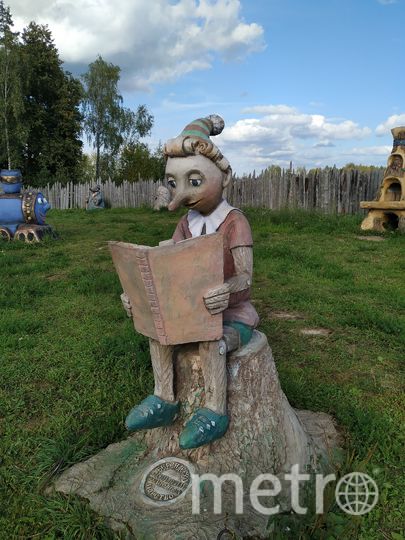 Серпухов. Фото Ольга Кабанова., "Metro"