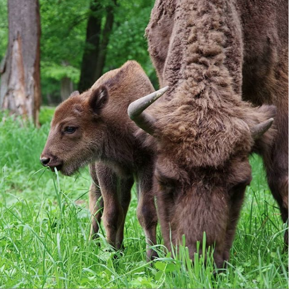 Серпухов. Фото Ольга Кабанова., "Metro"