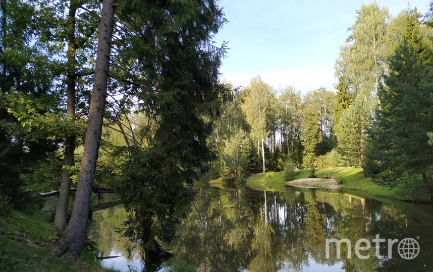 Серпухов. Фото Ольга Кабанова., "Metro"