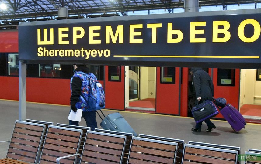 Прокуратура проведёт проверку из-за задержек выдачи багажа в Шереметьево