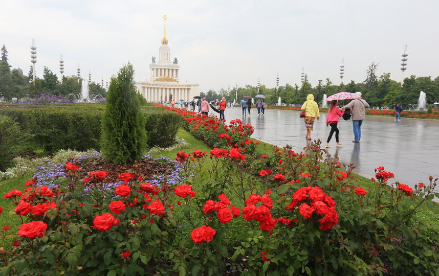 Пять активностей фестиваля "Цветы fest" в Москве