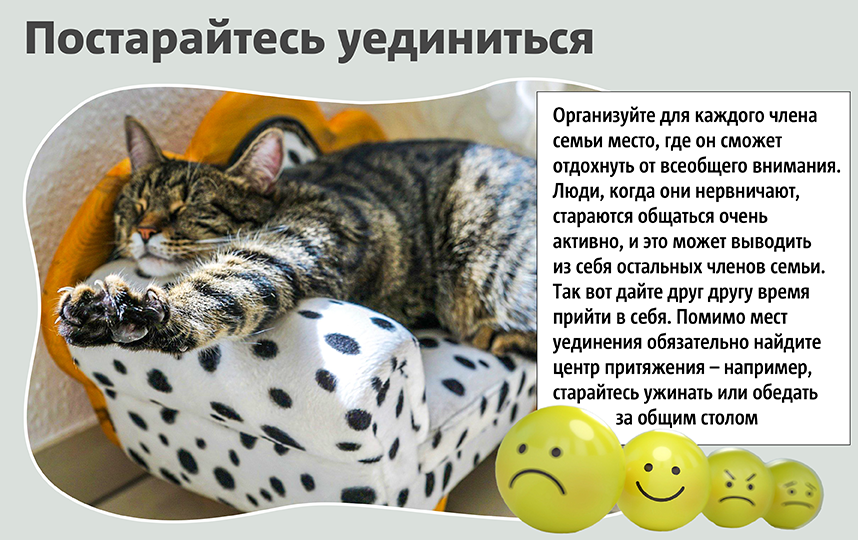 Настало время уединиться. Фото Сергей Лебедев, "Metro"