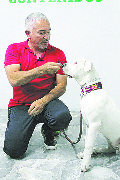 Позитивная энергия. Фото Аксель Амезкита