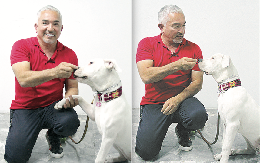 Сизар Миллан. Фото Аксель Амезкита