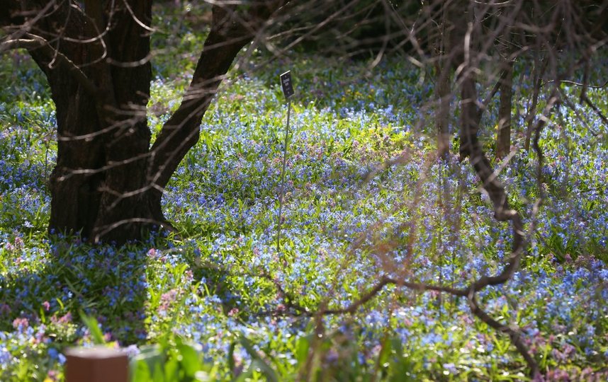Наслаждаемся красотой онлайн! Фото Василий Кузьмичёнок