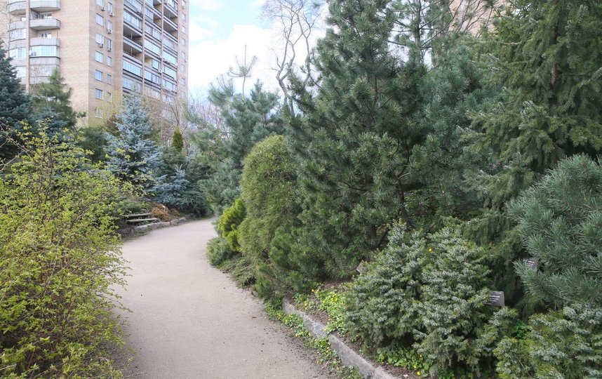 Наслаждаемся красотой онлайн! Фото Василий Кузьмичёнок