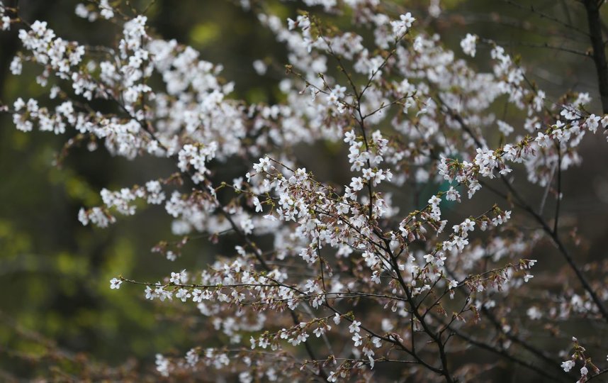 Приближение весны чувствуется во всём. Фото Василий Кузьмичёнок