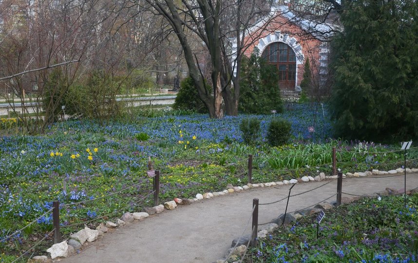 Наслаждаемся красотой онлайн! Фото Василий Кузьмичёнок