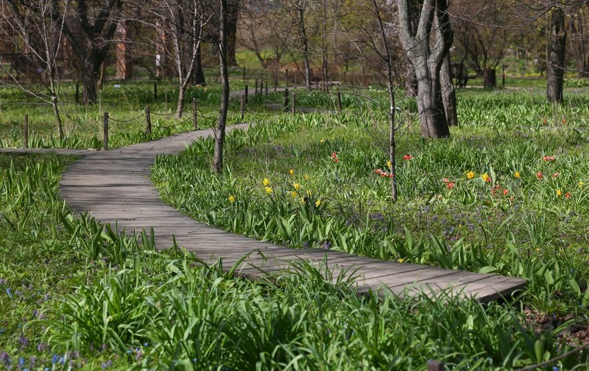 Пока сад закрыт для посещения. Фото Василий Кузьмичёнок