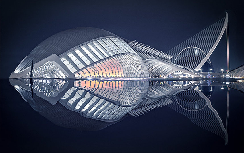 "Рыба". Фото eVolo