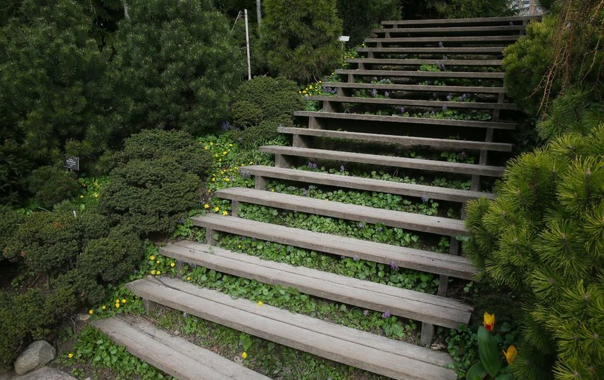 Наслаждаемся красотой онлайн! Фото Василий Кузьмичёнок