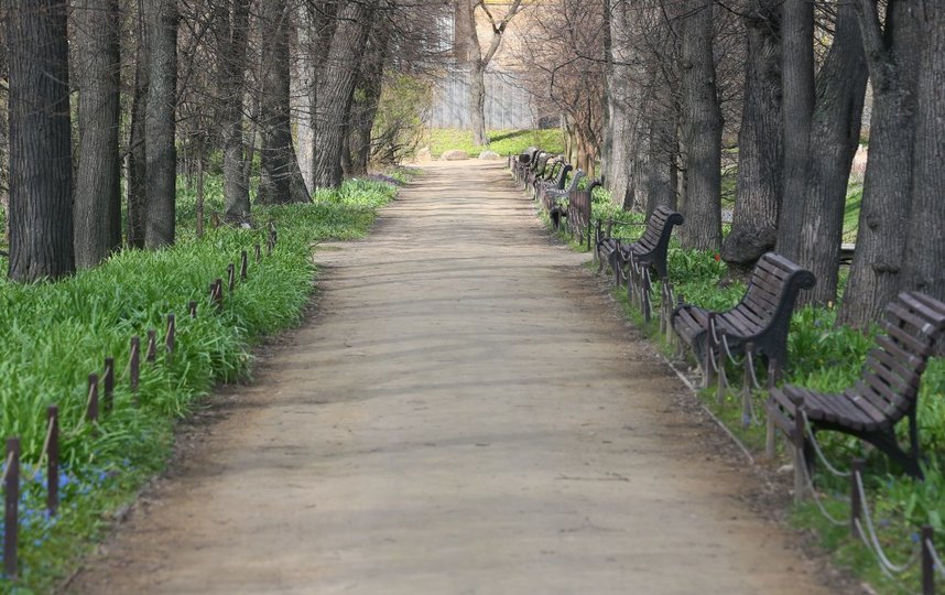 Пока сад закрыт для посещения. Фото Василий Кузьмичёнок
