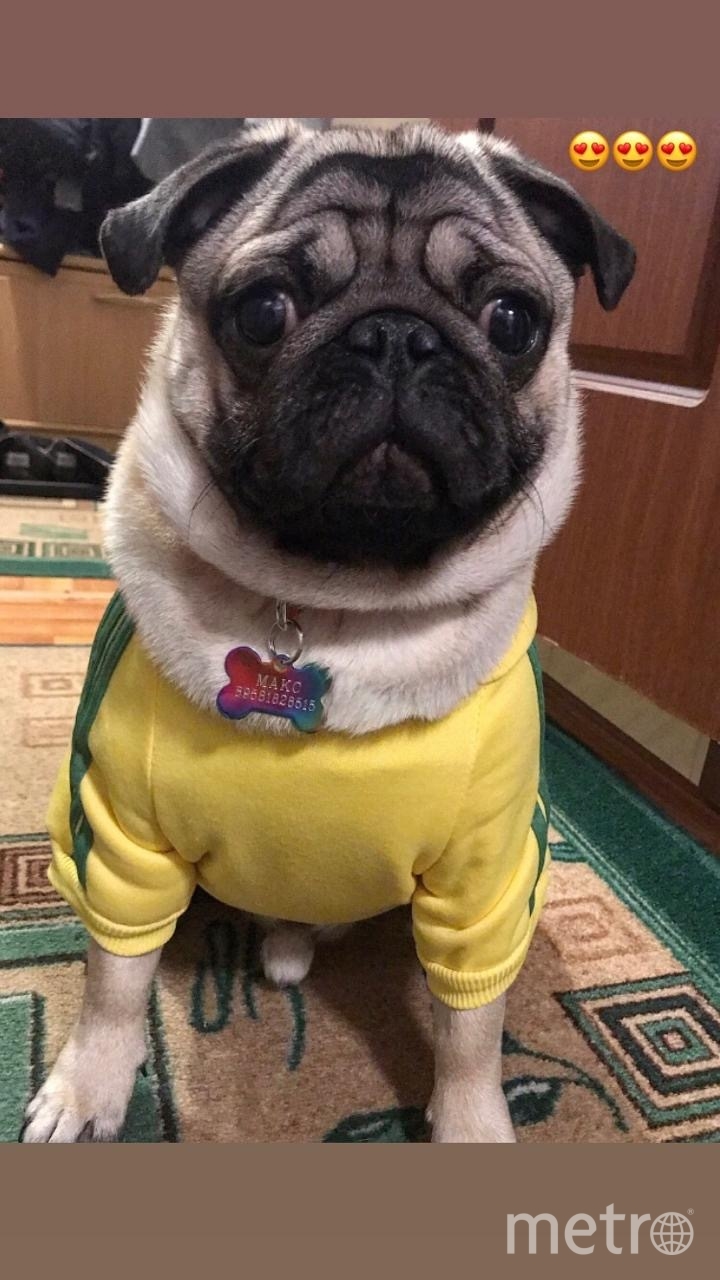 Макс на спорте). Фото "Metro"