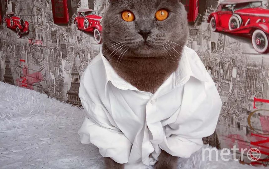 Этот "Ромео" по кличке Бакс так решил поздравить свою хозяйку с днём рождения. Фото Яна, "Metro"