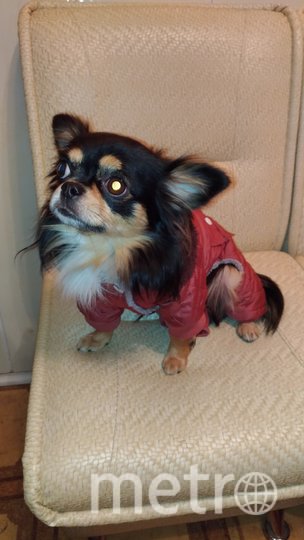 Рэй с радостью демонстрирует свои костюмы прохожим, а вот "папарацци" недолюбливает. Фото Наталья, "Metro"