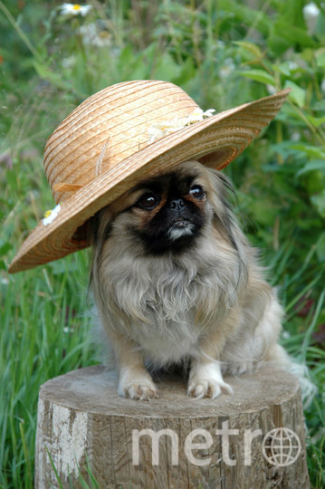 Кия считает, что шляпы всегда смотрятся грациозно. Фото Светлана , "Metro"