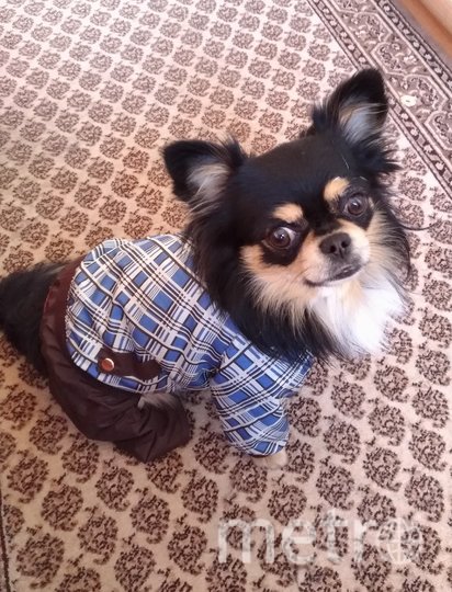 Рэй с радостью демонстрирует свои костюмы прохожим, а вот "папарацци" недолюбливает. Фото Наталья, "Metro"