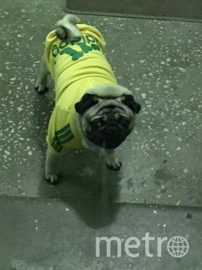 Макс на спорте). Фото "Metro"